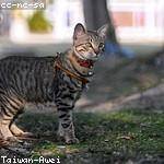 Demetrius Ebert Profile Picture