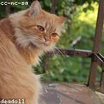 Zola Tromp Profile Picture