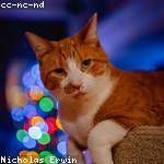 Claude McCullough Profile Picture