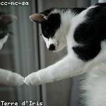 Therese Blick Profile Picture