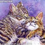 Adelia Kuhic Profile Picture