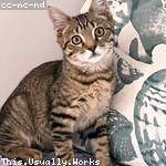 Augustus Cremin Profile Picture