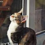 Jacques Rolfson Profile Picture