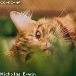 Alvina Braun Profile Picture