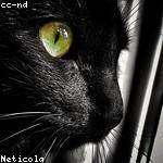 Doris Blick Profile Picture