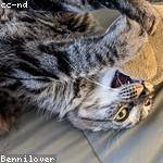 Lesly Blick Profile Picture