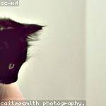 Helen Cronin Profile Picture