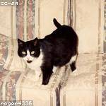 Lenore Crist Profile Picture