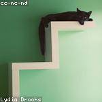 Jazlyn Zemlak Profile Picture