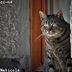 Hector Senger Profile Picture