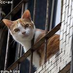 Hulda Nicolas Profile Picture