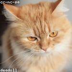 Dannie Feest Profile Picture