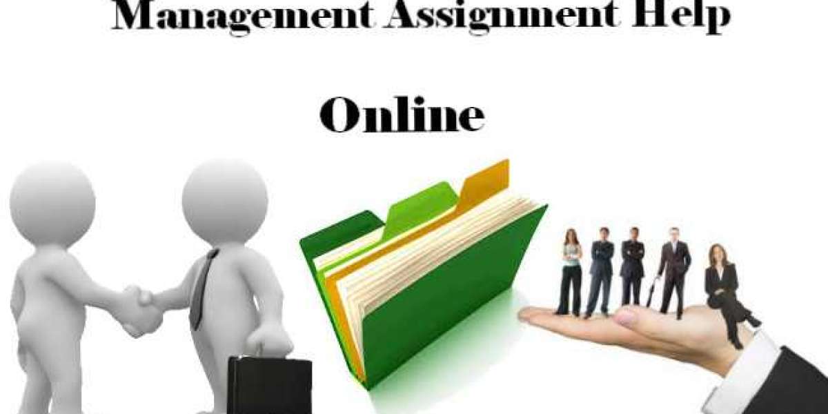 Aspects to Consider for Management Assignment Help Online
