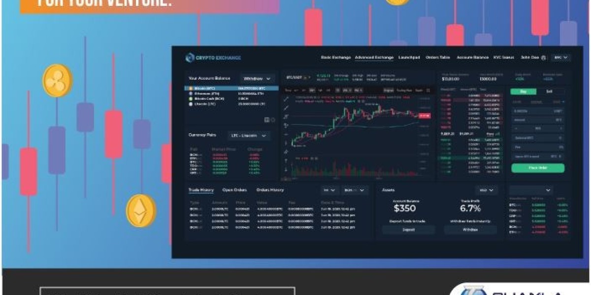 Everything You Should Know About Binance Clone Script Development