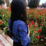 Lavender Poet Profile Picture