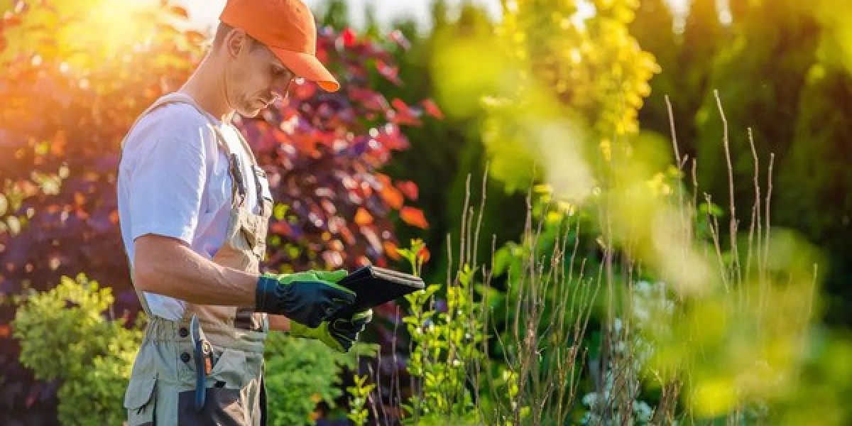 It Is Important to Keep Fertilizing Your Garden