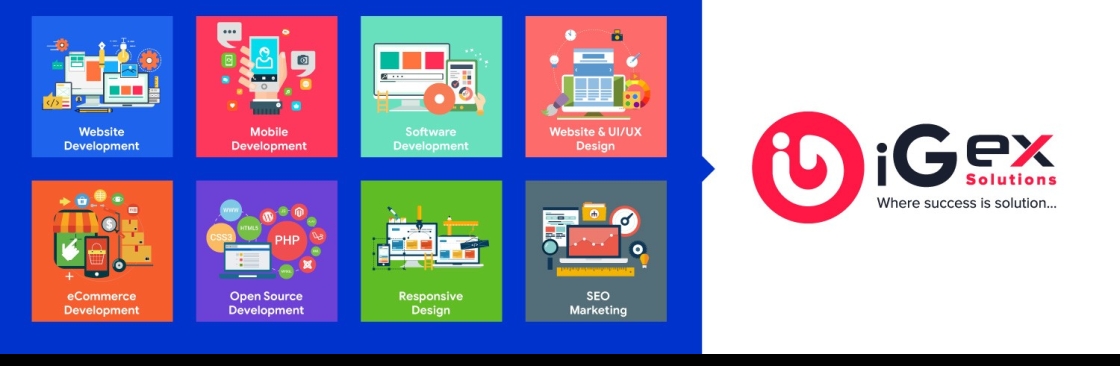 iGex Solutions Cover Image
