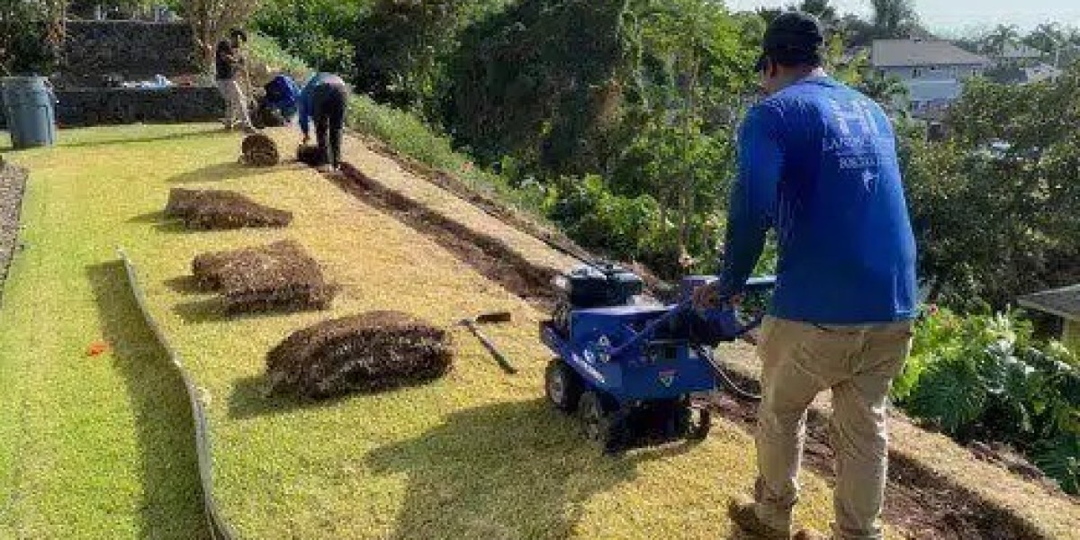 Eco-friendly Landscaping: How to Save Water and Money in Hawaii