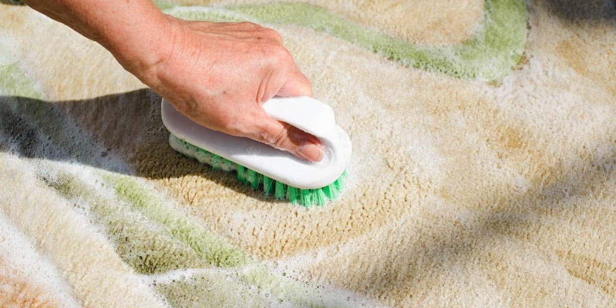 Transforming Your Home with Professional Carpet Cleaning