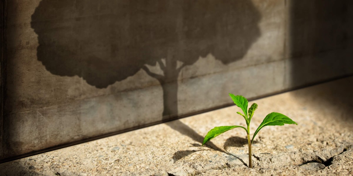 How to Achieve Sustainability by Practising the Means of Circular Economy?
