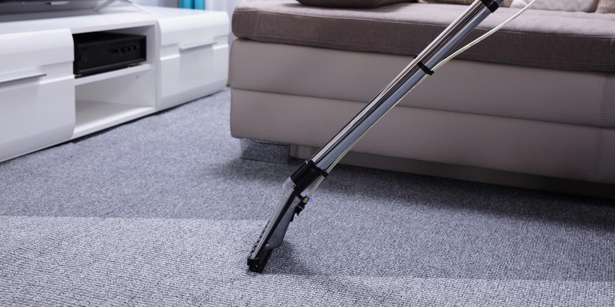 The Benefits of Hiring a Professional Carpet Cleaning Service for Pet Owners