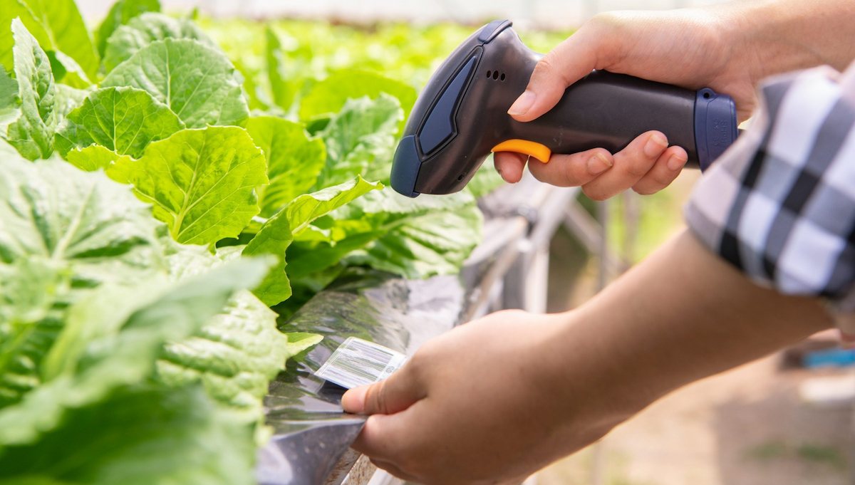 Barcode Readers: Beneficial Devices for Various Businesses – Everyday Chronicles