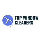 Window Cleaners Angel Profile Picture