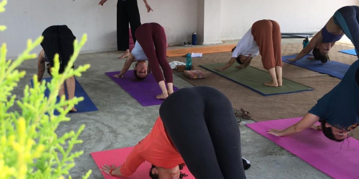 100 Hours Yoga Teacher Training in India | Alakhyog