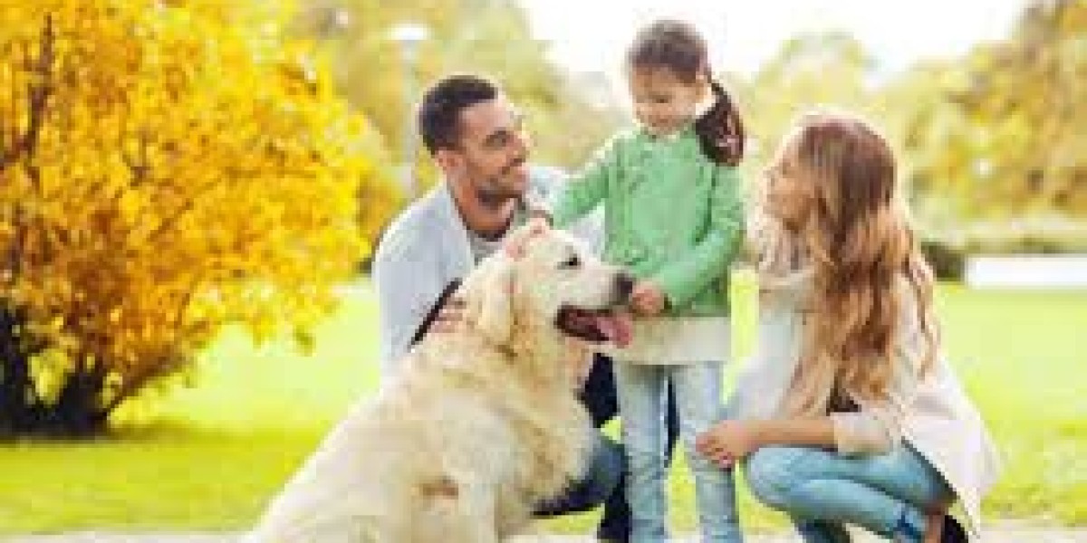 Crafting a Livelihood in the Pet Industry: More Strategies for Success