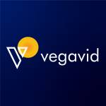 Mohit Vegavid Profile Picture