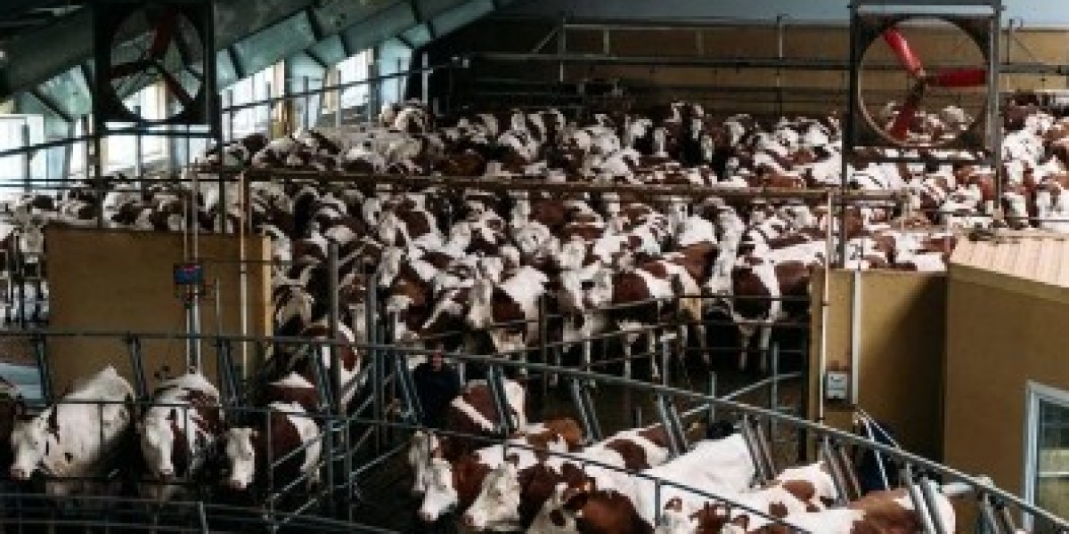 Factory farming cruelty