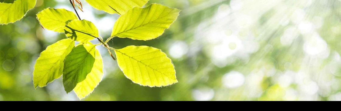 Waterville Irrigationinc Cover Image