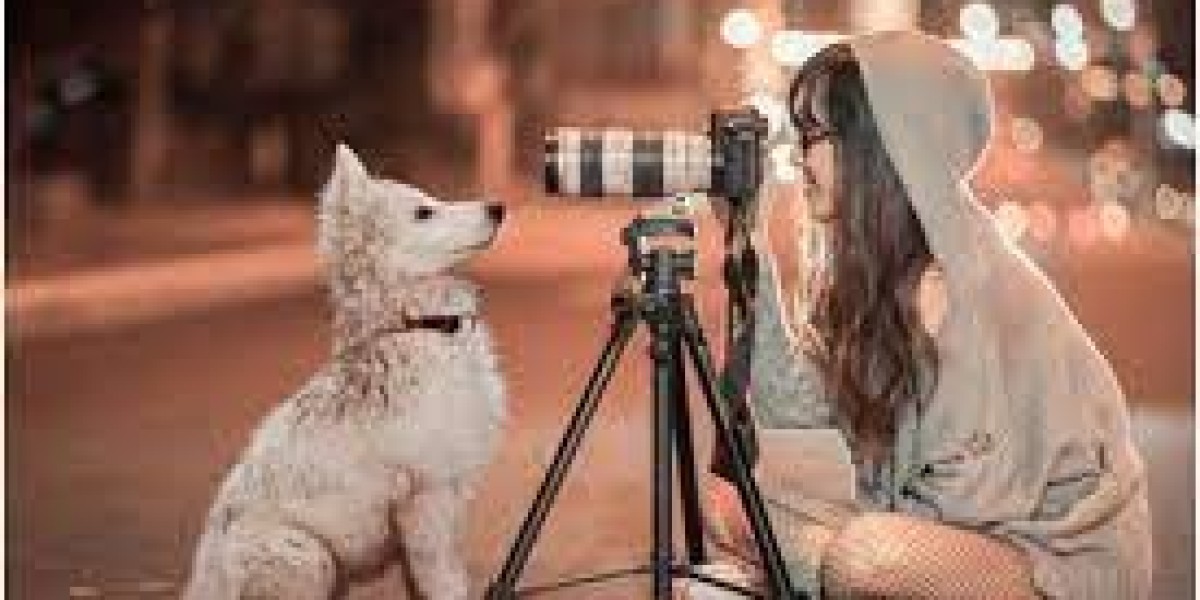 Super Useful Tips to Improve Performance in the Preliminary English Test (PET)