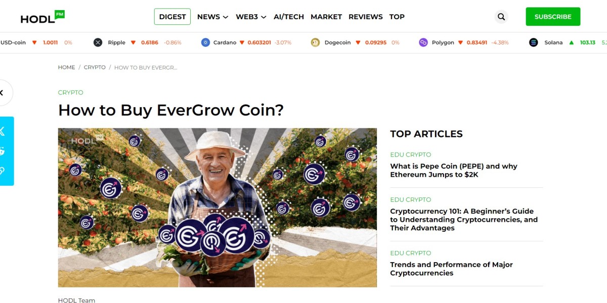 HODL.fm: Riding the Waves of Crypto Resilience and Sound Investment Strategies