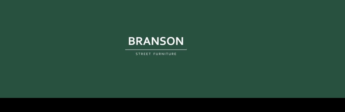 Branson Leisure Ltd Cover Image