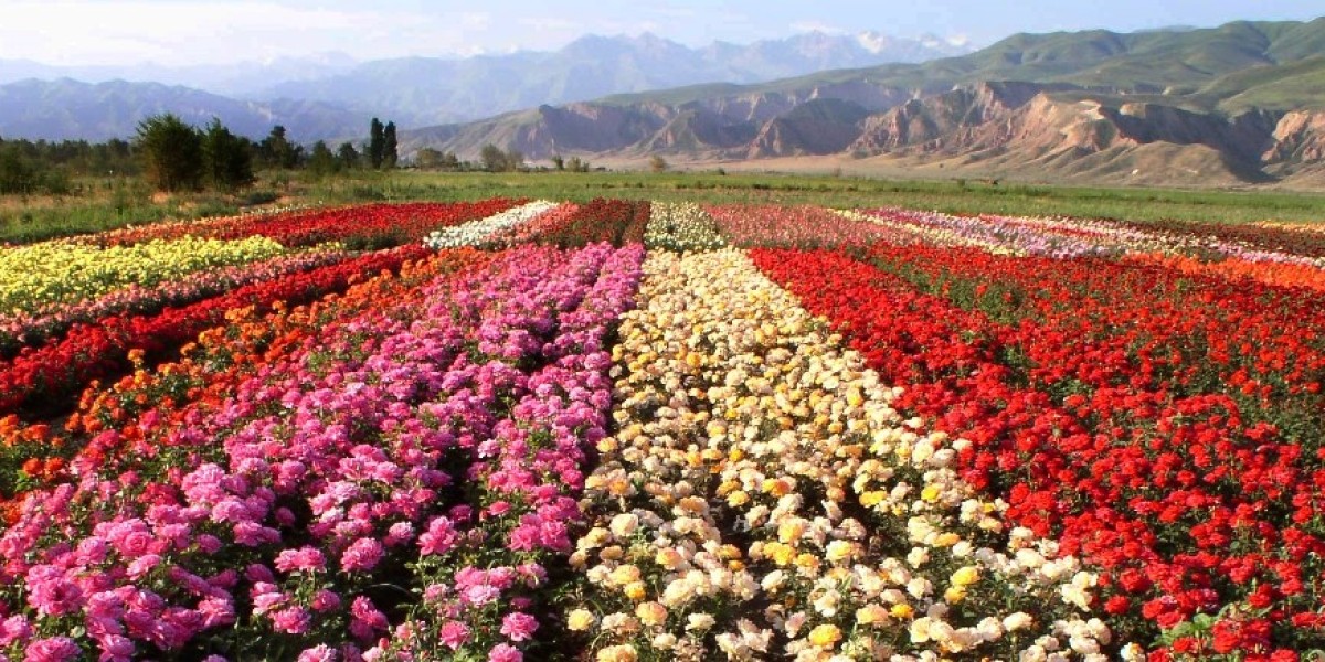 Floriculture Market Size Key Leaders, Demands, Emerging Technology by Regional Forecast to 2033