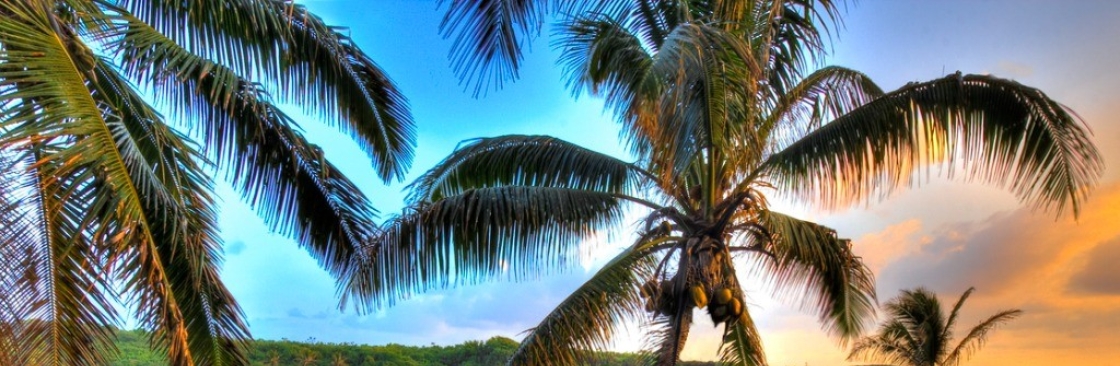 VACATION VENTURER Cover Image