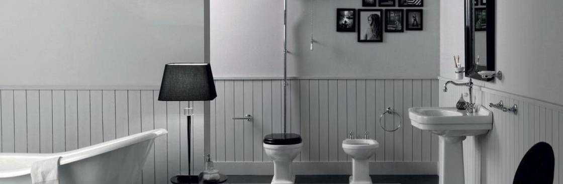 Saniterica Cover Image