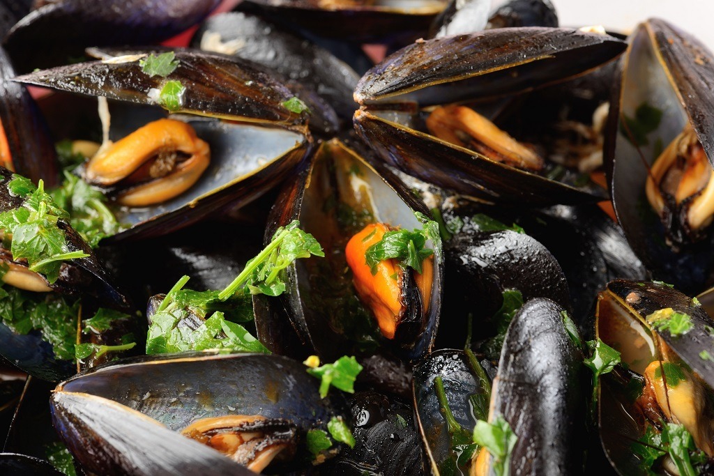 Explore Italy’s Culinary Wonders: Food, Wine, and Cooking Adventures Await