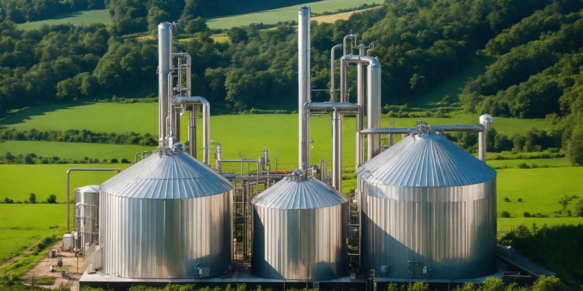 Biomethane Market Size, Growth, Trends and Forecast to 2031