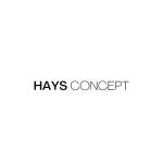 Haysconcept Profile Picture