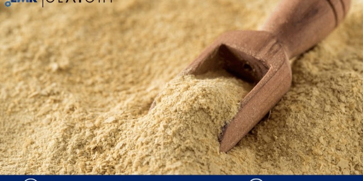 Fortifying the Future: Navigating Growth and Trends in the Food Fortification Premix Market