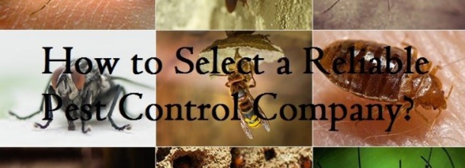 envirosafe pestcontrol Cover Image