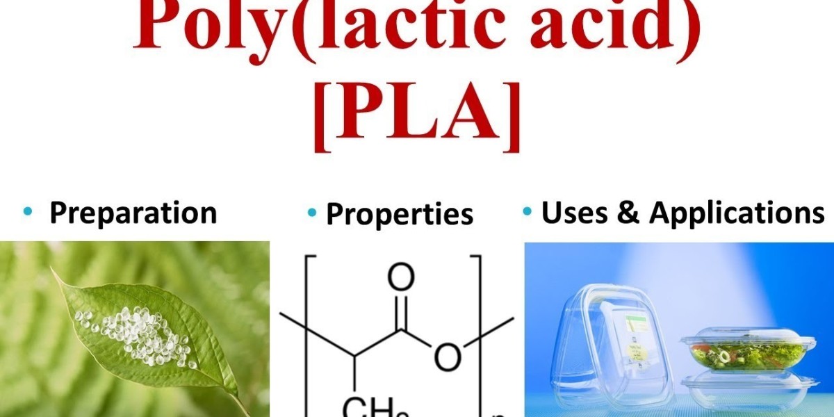 Polylactic Acid Market: Current Trends and Future Prospects