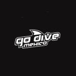 Go Dive Mexico Profile Picture