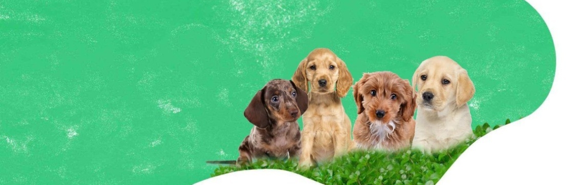 Rosewood HousePets Cover Image