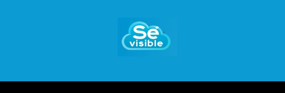 Sevisible Cover Image