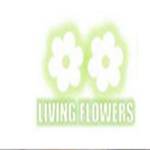 living flowers Profile Picture