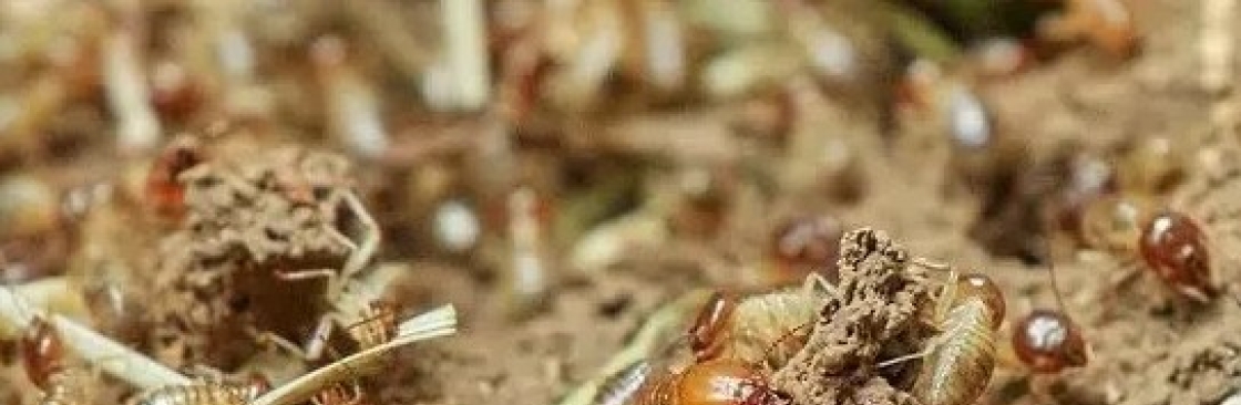 enviropest control Cover Image